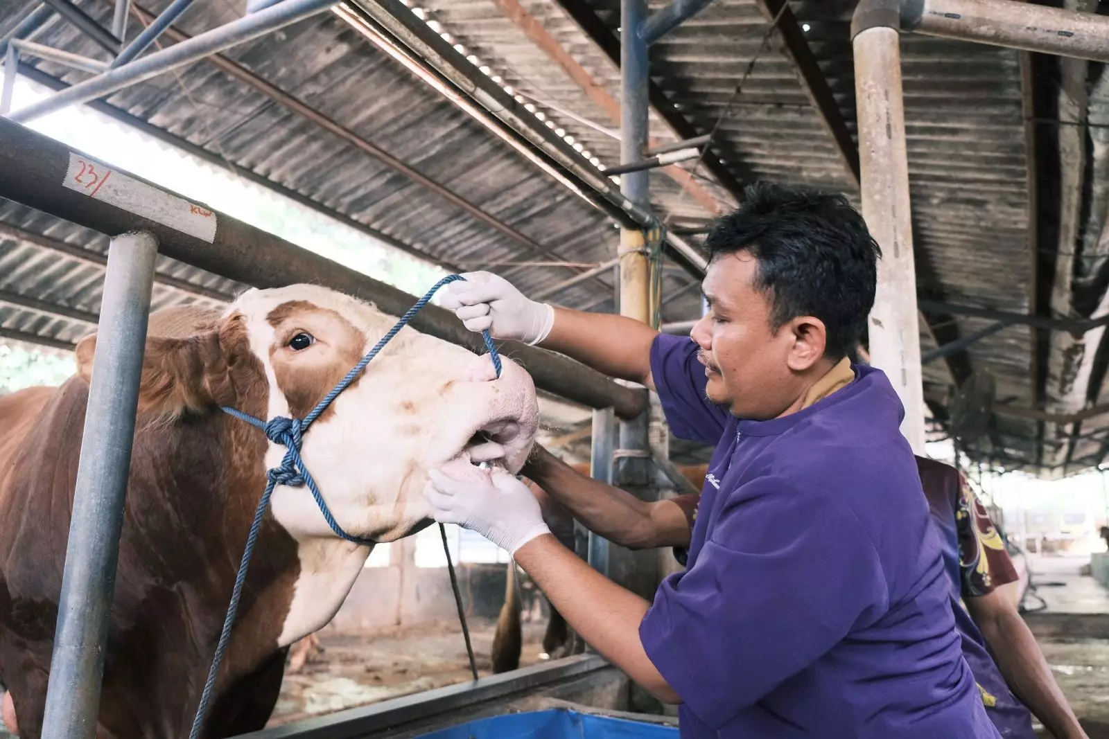 DKP3 Periksa 127 Lapak Hewan Kurban di Cimanggis-Tapos