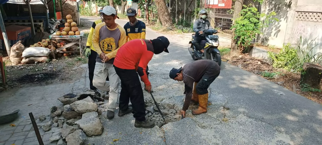 DPUPR Perbaiki Jalan Raden Sanim yang Retak Akibat Akar Pohon
