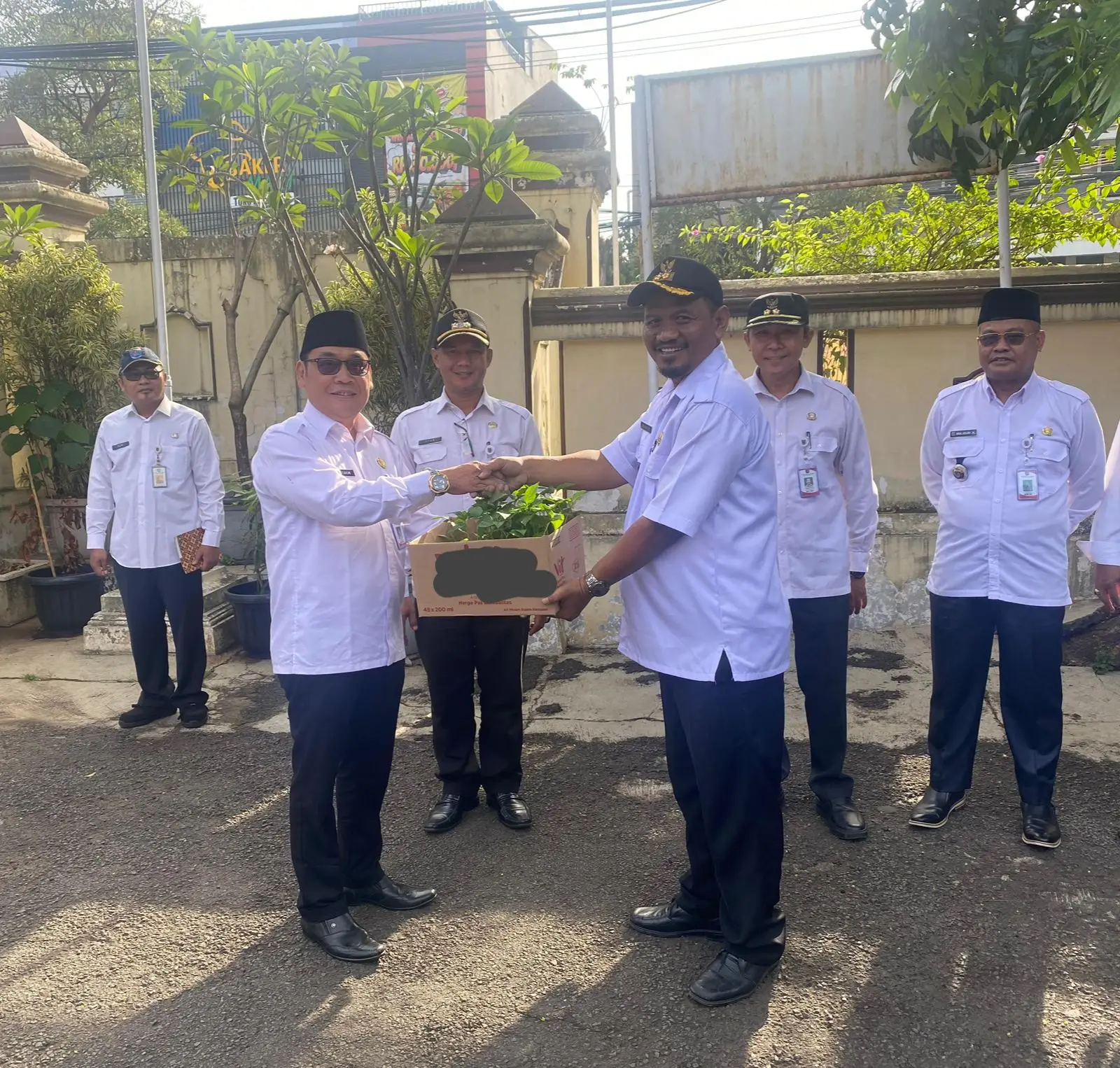 Kecamatan Panmas Galakkan Gerakan Tanam Cabai di Kelurahan