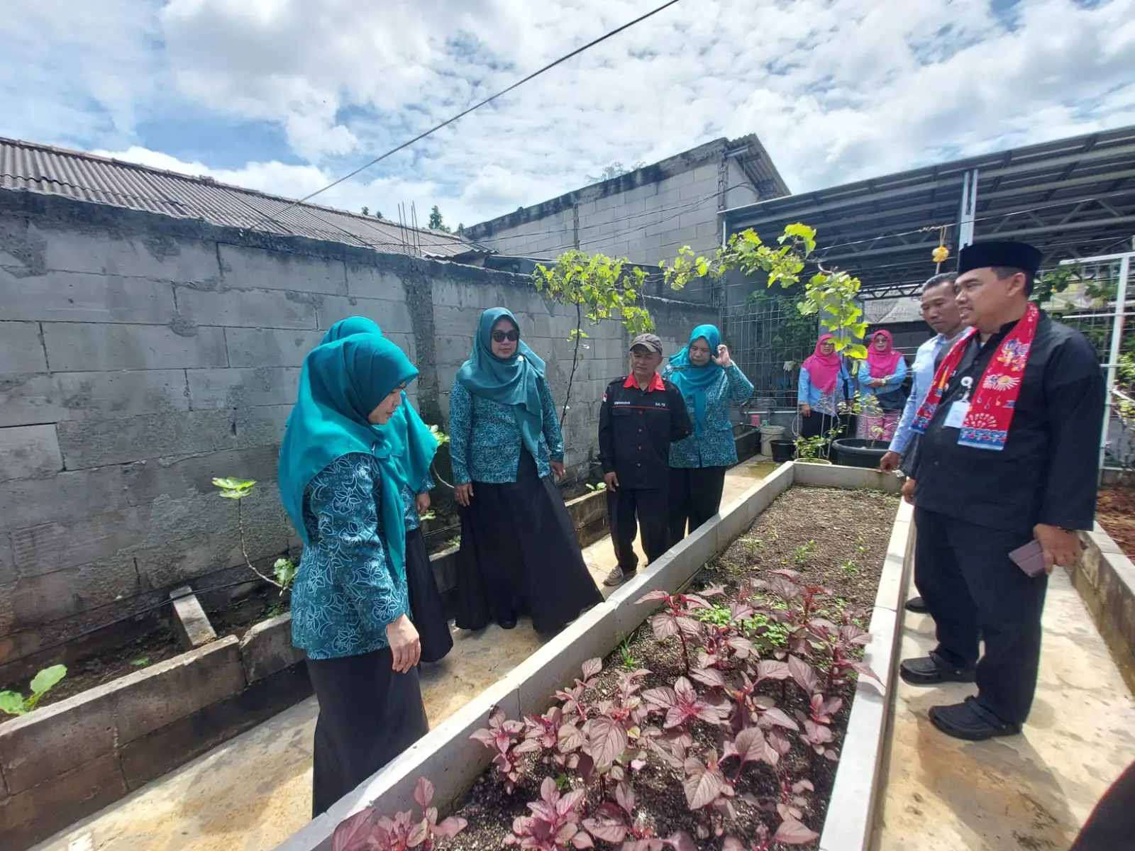 Wujudkan Depok Hijau dan Nyaman, Cing Ikah Dorong Ketahanan Pangan dari Pekarangan Rumah