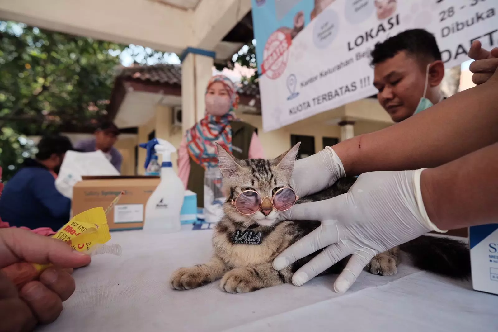 Vaksinasi Rabies Gratis dari DKP3 Ramai Dikunjungi Warga