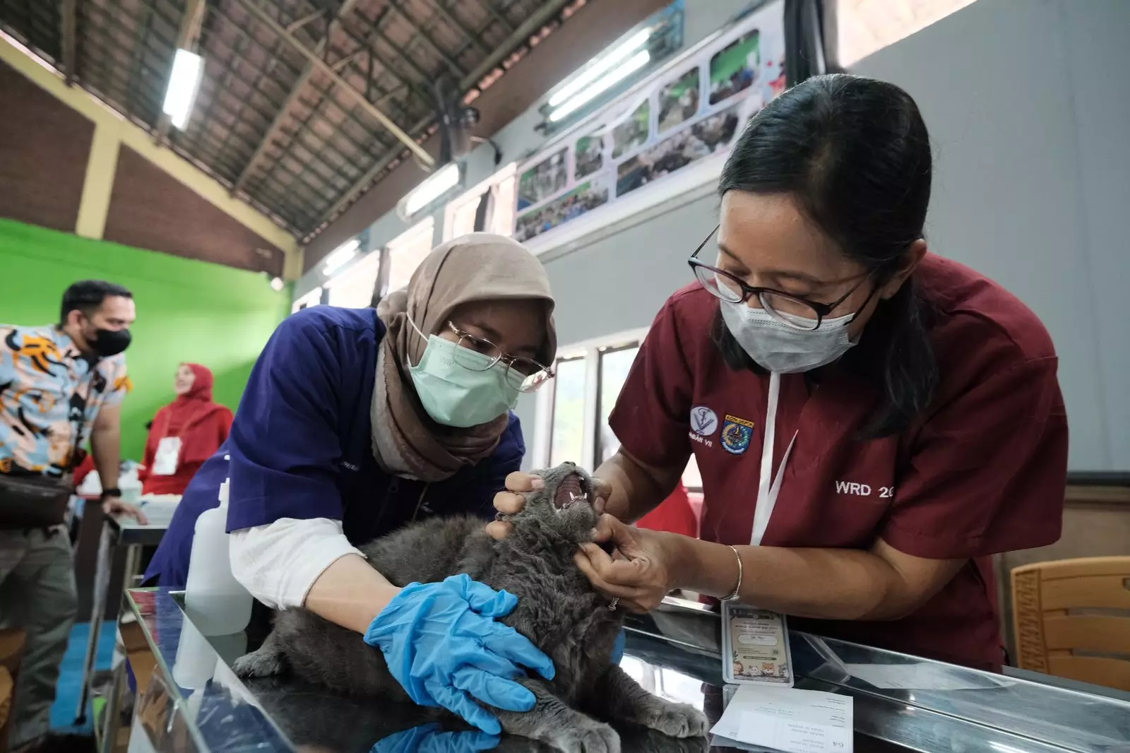 Ratusan Ekor Hewan Peliharaan di Depok Divaksinasi Rabies