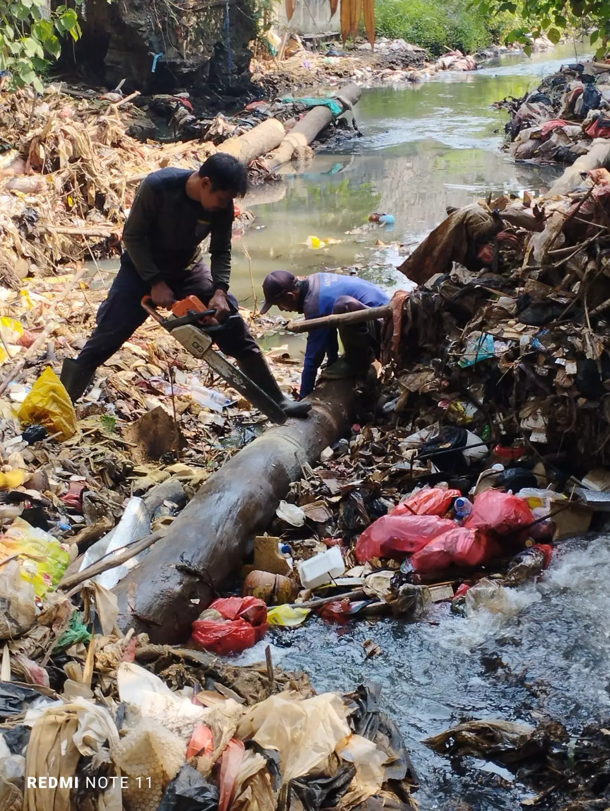 Satu Regu Satgas DPUPR Berjibaku Evakuasi Batang Pohon di Kali Baru