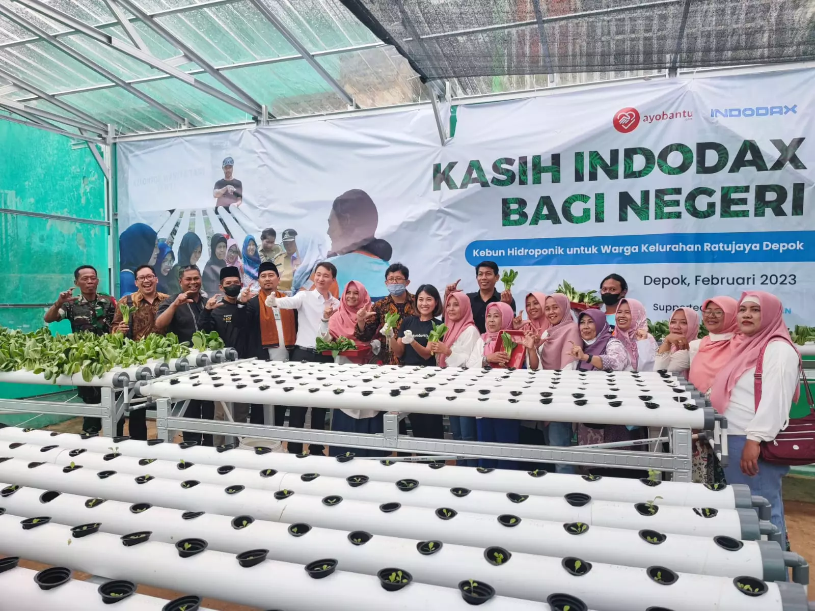 KWT Selendang Ratu Ratu Jaya Miliki Kebun Hidroponik Berkonsep Green House