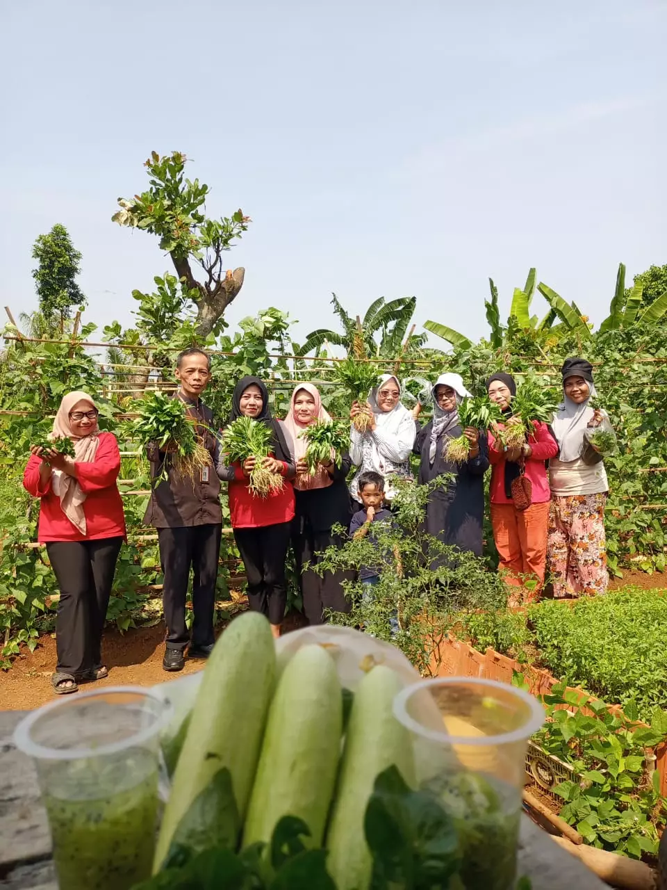 Lurah Jatimulya Panen Sayuran Bareng KWT Jahe Merah