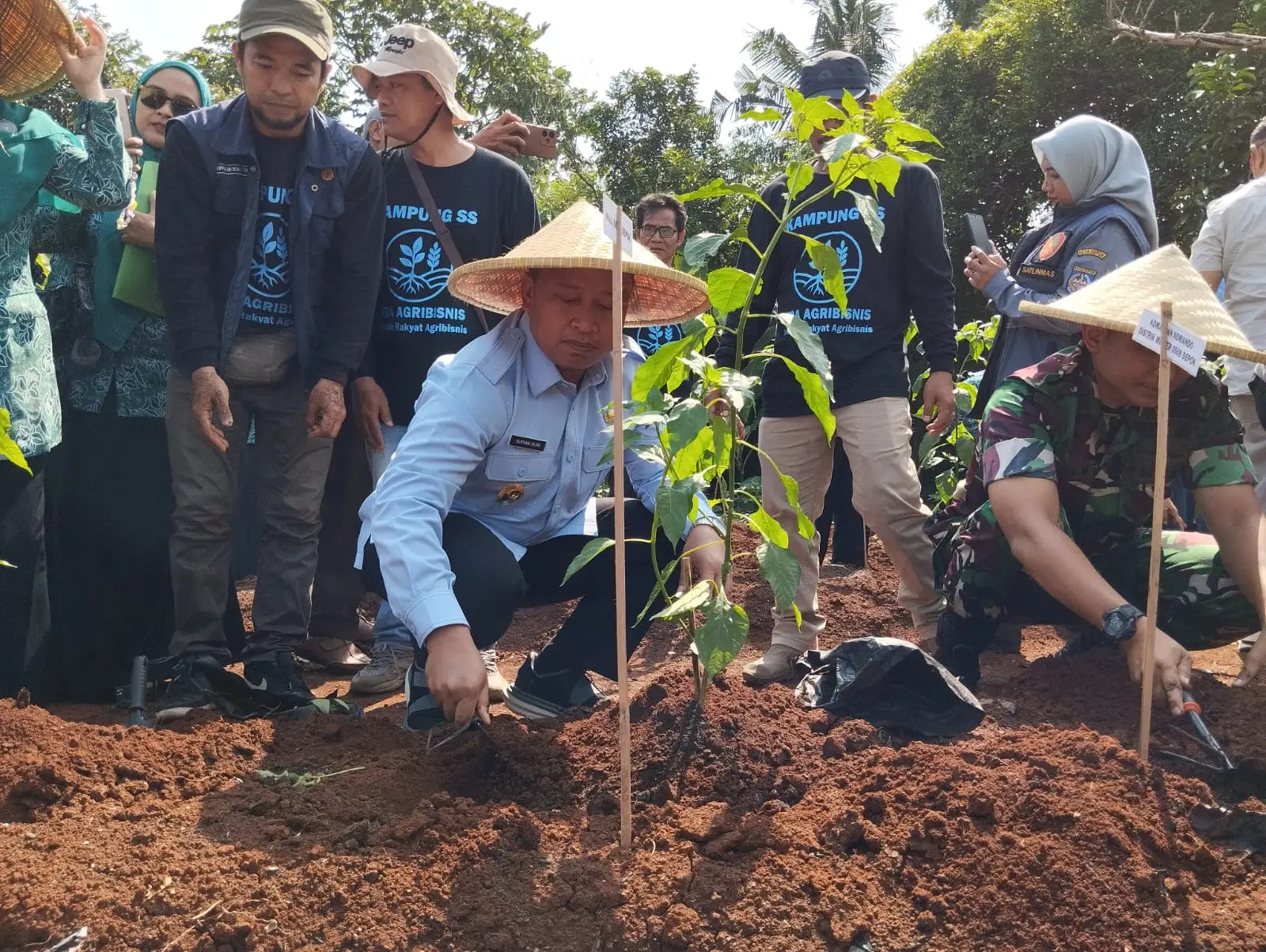 Bang Supian Ajak Warga Depok Menanam Cabai dan Buah, Sera Agribisnis Resmi Dibuka