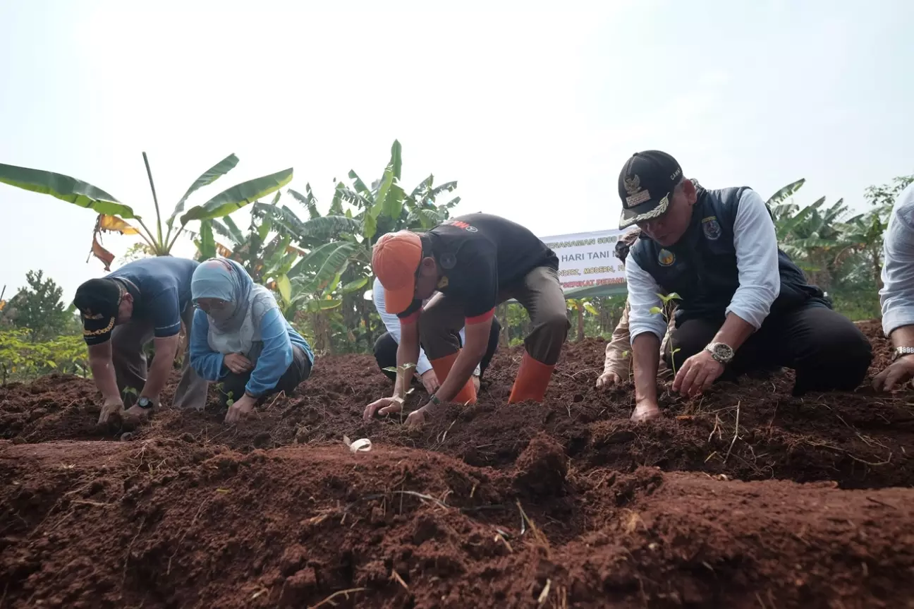 Wakil Wali Kota Bersama Serikat Tani Depok Tanam Cabai di Sukamaju Baru