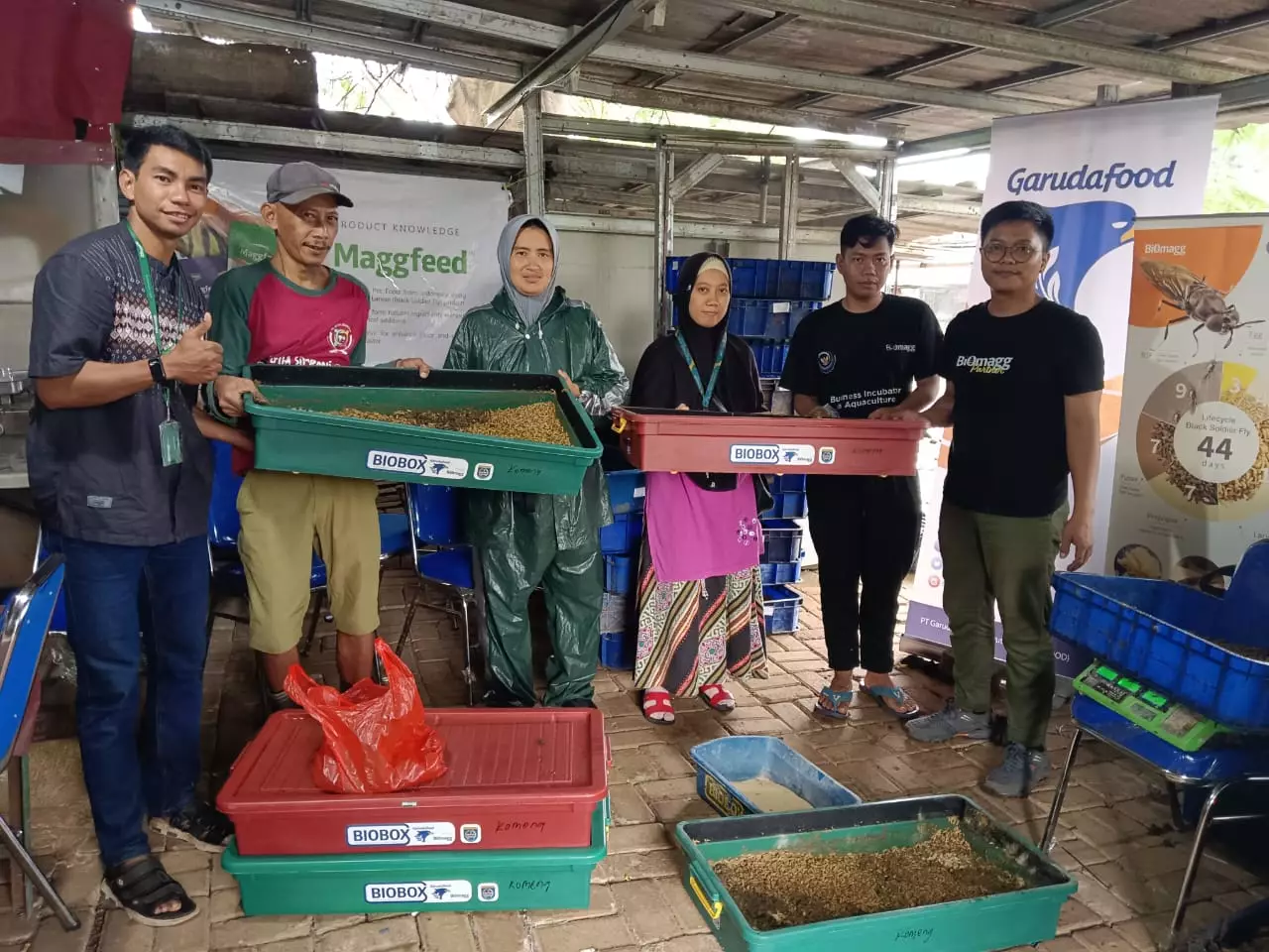 200 Keluarga di Kelurahan Jatijajar Budidaya Maggot untuk Kurangi Sampah Organik