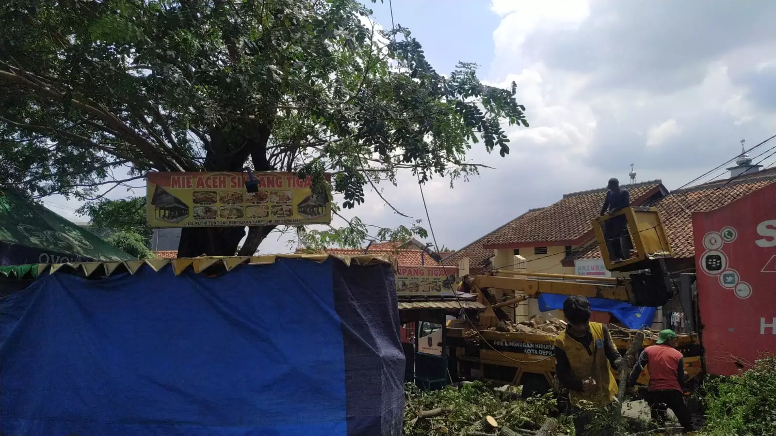 Tindaklanjuti Aduan Warga, Aparatur Kelurahan Harjamukti dan DLHK Pangkas Pohon di RW 01