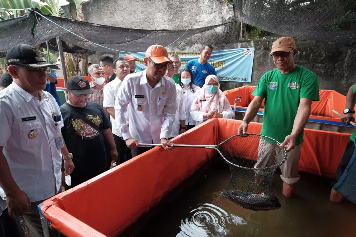 Wakil Wali Kota Panen Lele di Kelurahan Jatijajar