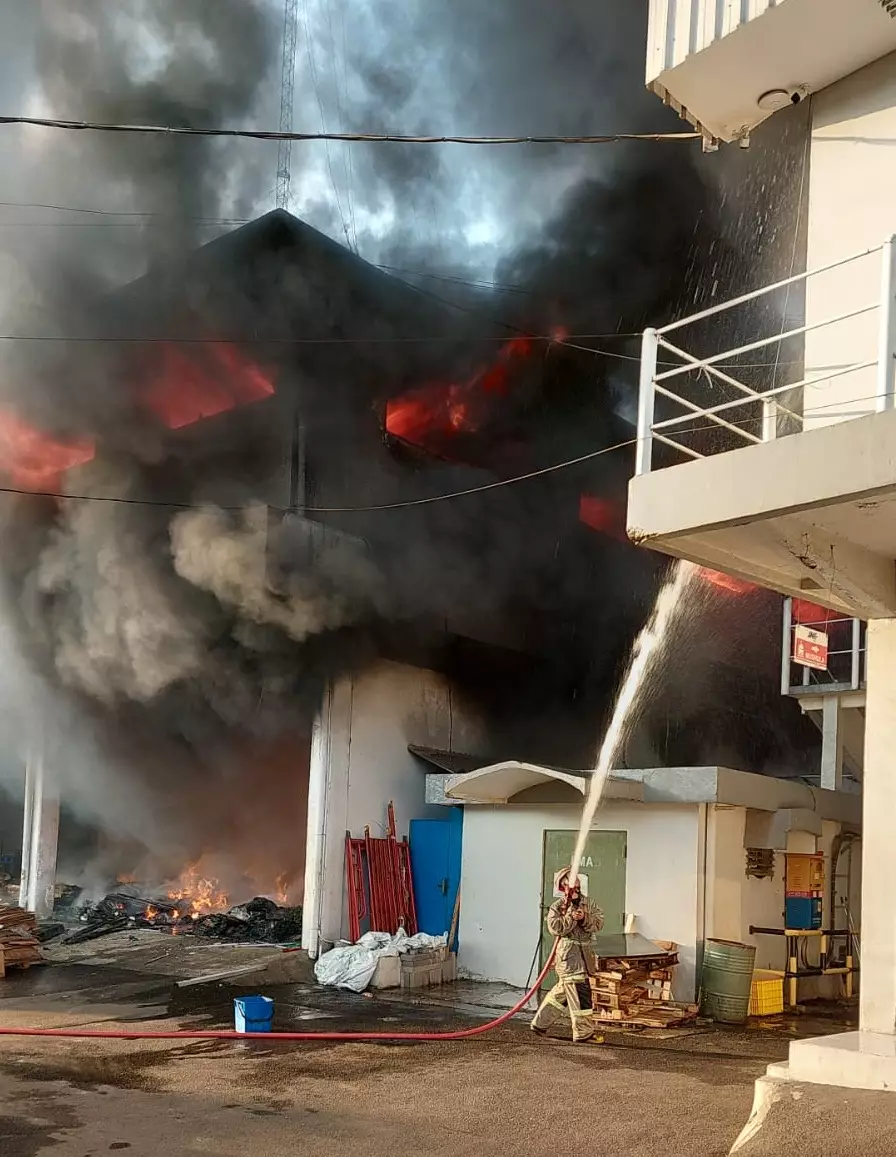 Atasi Kebakaran Gudang JNE di Cimanggis, 18 Mobil Pemadam dan 80 Personel Damkar Dikerahkan