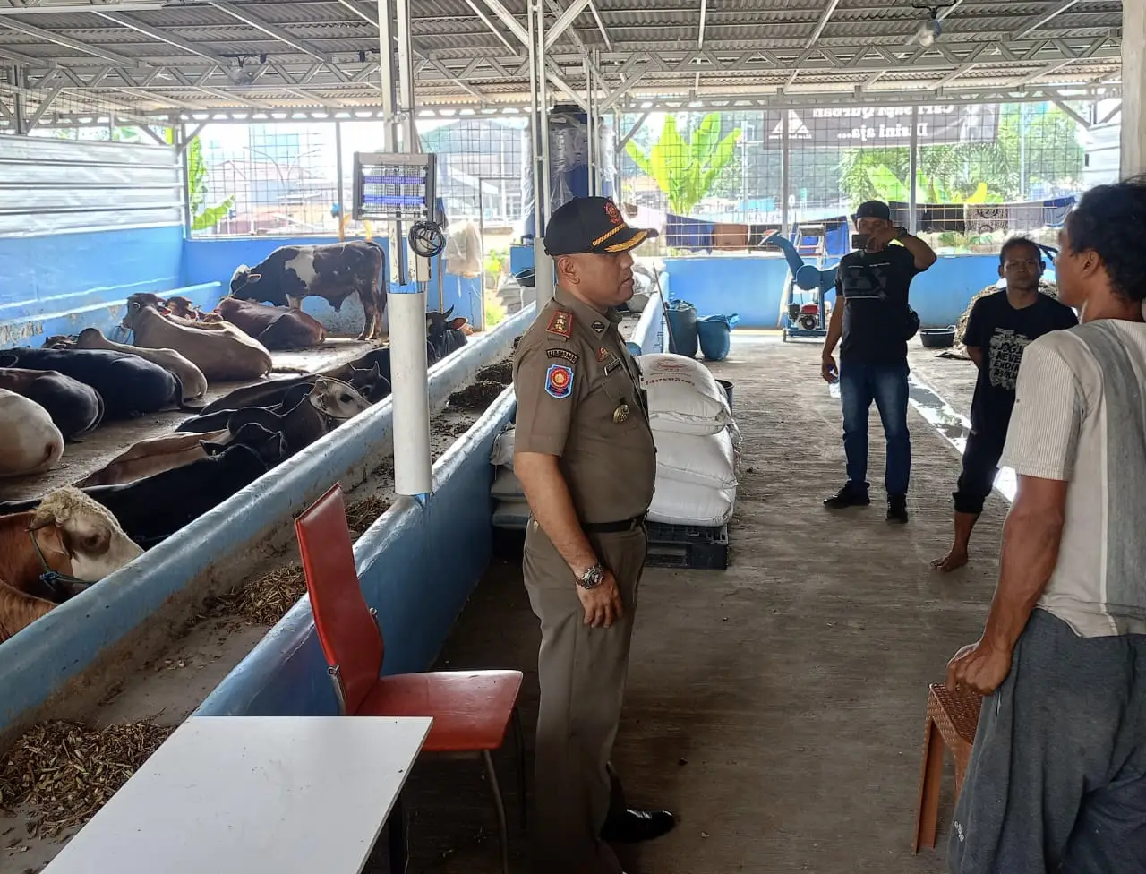 Jelang Iduladha 1446 H, Satpol PP Depok Mulai Awasi Lapak Penjual Hewan Kurban