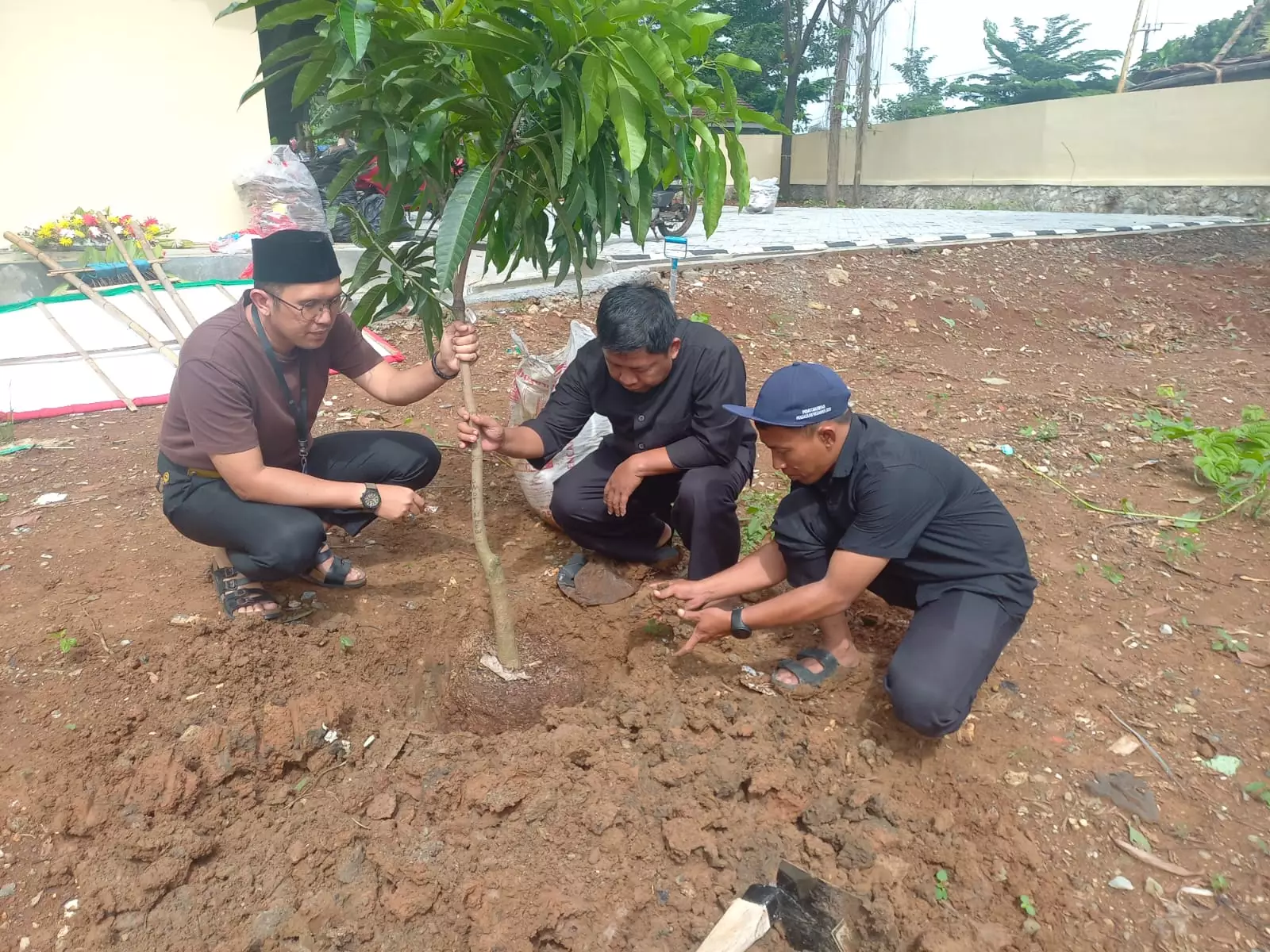 Puluhan Pohon Ditanam Hijaukan Area Kelurahan Dumek