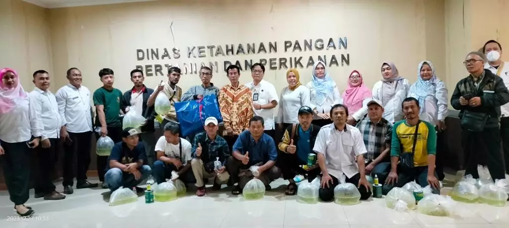 DKP3 Depok Bagikan Ribuan Bibit Ikan Hias Gratis Kepada Sebelas Pokdakan