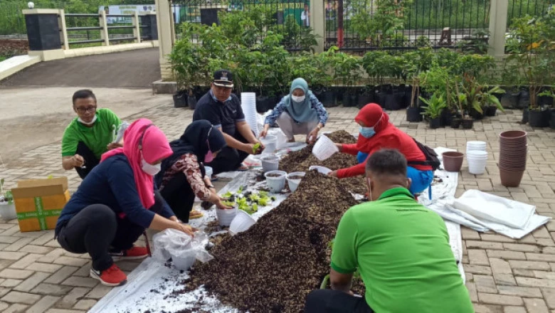 Warga Krukut Diajak Tanam Pohon Produktif di Pekarangan Rumah 