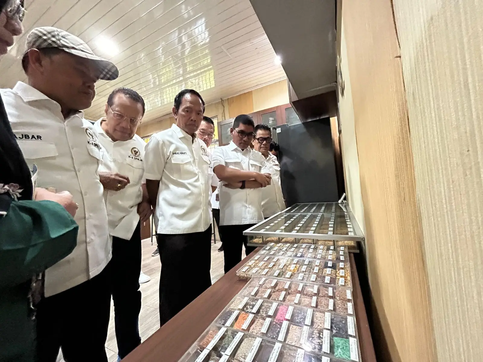 Peredaran Benih Palsu Disorot, Komisi IV DPR RI Minta Aparat dan Kominfo Turun Tangan