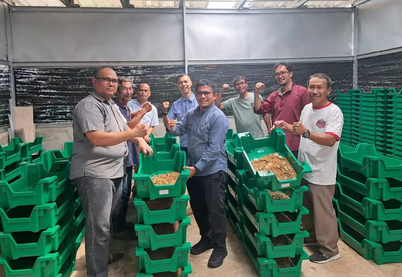 Hanggar Maggot Kukusan Perkuat Gerakan Mandiri Kelola Sampah
