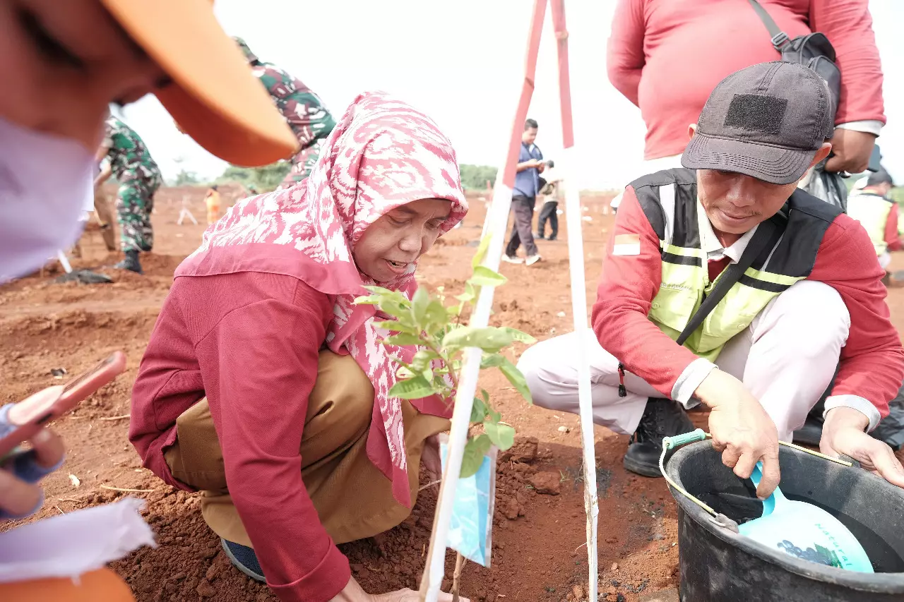 Tangkal Perubahan Iklim, DLHK Tanam 500 Bibit Pohon