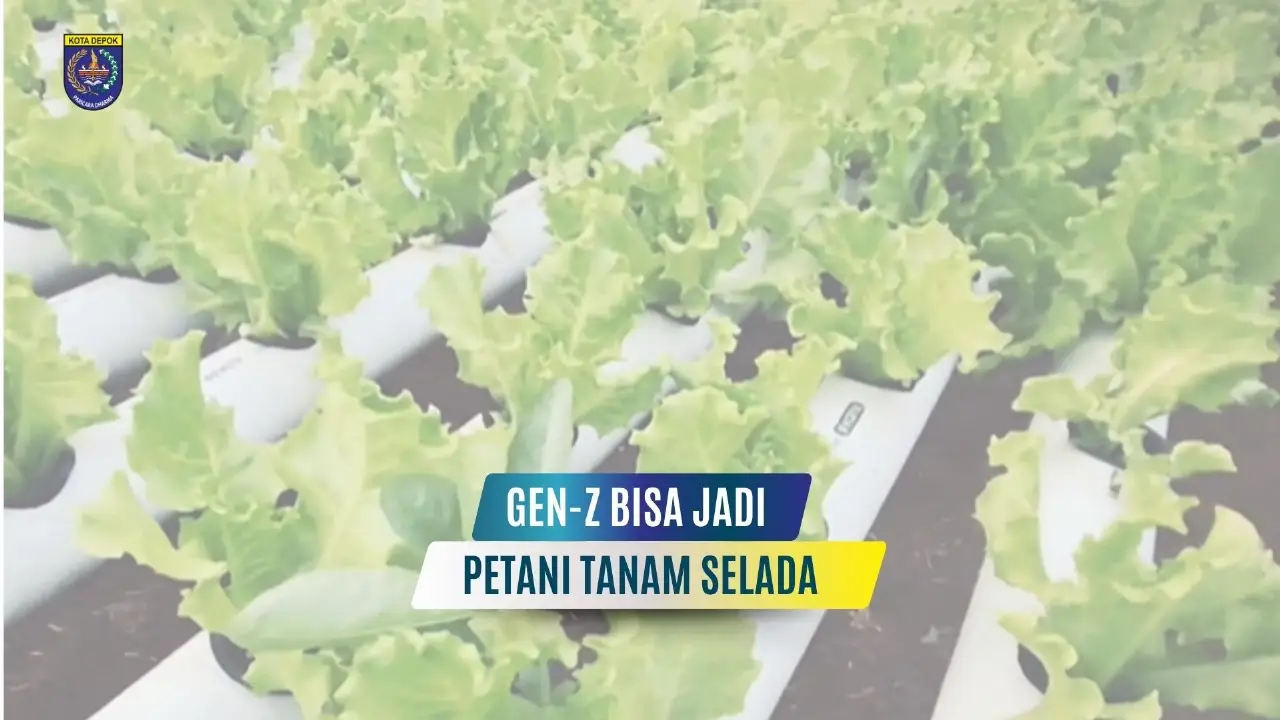 GEN-Z BISA JADI PETANI TANAM SELADA