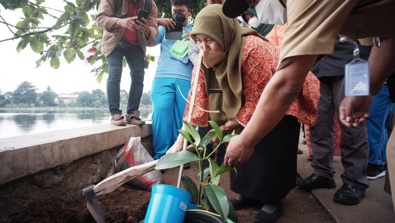 Kadis DLHK Tanam Bibit Pohon di Setu Cilodong