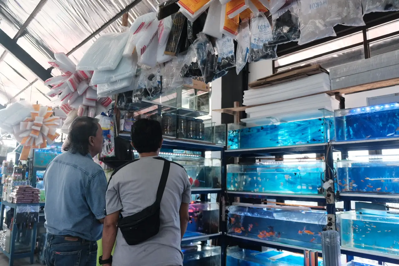 Intip Yuk!  Kios Ikan Hias di Taman SeCAWAN Depok