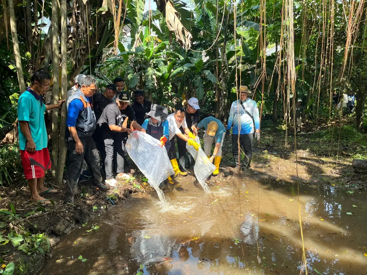 Jaga Ekosistem Situ Gadog, Ribuan Ikan Dewa Disebar