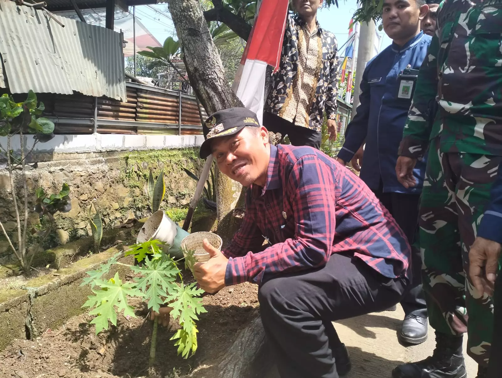 Pepaya Ikon Kampung Caraka RW 09 Cipayung Jaya