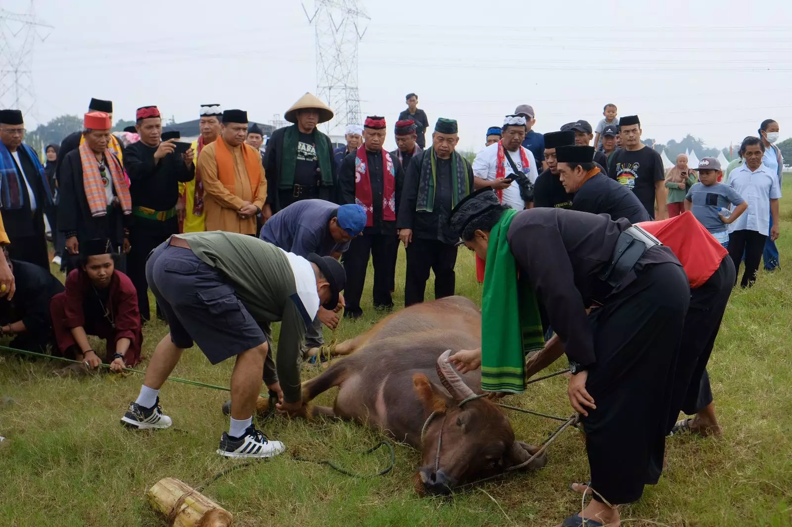 Motong Kebo Andilan, Wujud Budaya Gotong Royong Warga Betawi Depok