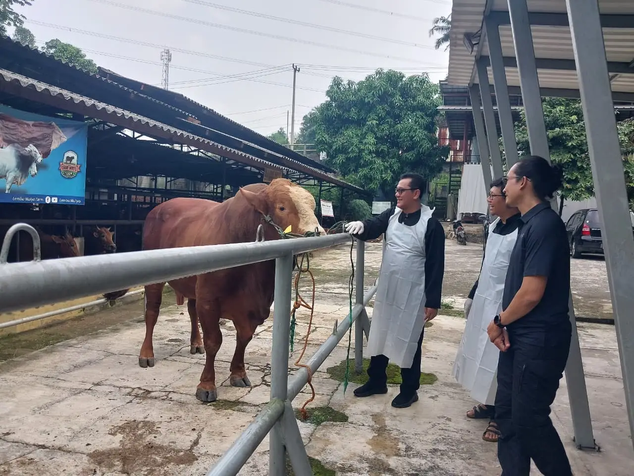 Jamin Hewan Kurban Sehat dan Layak, DKP3 Depok Sisir 100 Lapak Penjualan