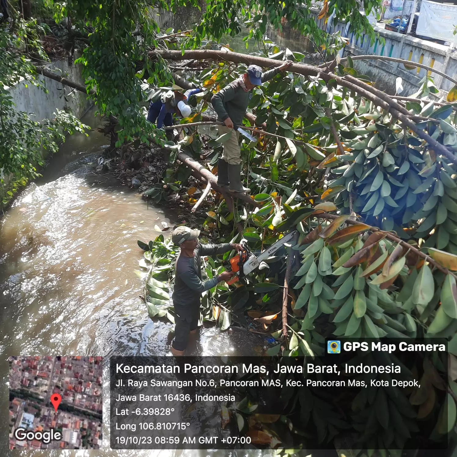 Satgas DPUPR Evakuasi Pohon Tumbang di Kali Cabang Tengah