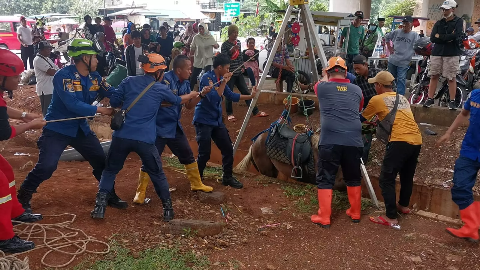 Terperosok ke Saluran Air Sedalam Dua Meter, Kuda Milik Warga Berhasil Diselamatkan Petugas Damkar Depok