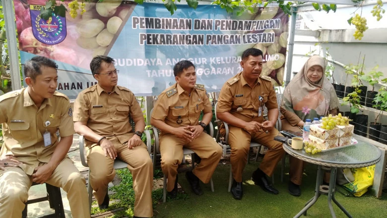 Usai Diberi Teori, Warga Limo Langsung Praktik Budidaya Anggur Bersama Petani