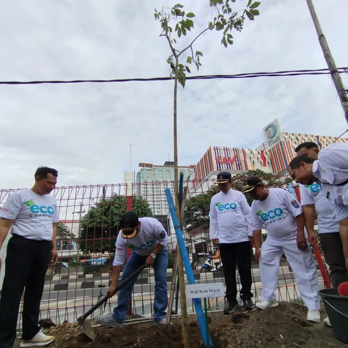 Ciptakan Nuansa Jepang, Pemkot Depok Gandeng Swasta Tanam Pohon Tabebuya di Margonda