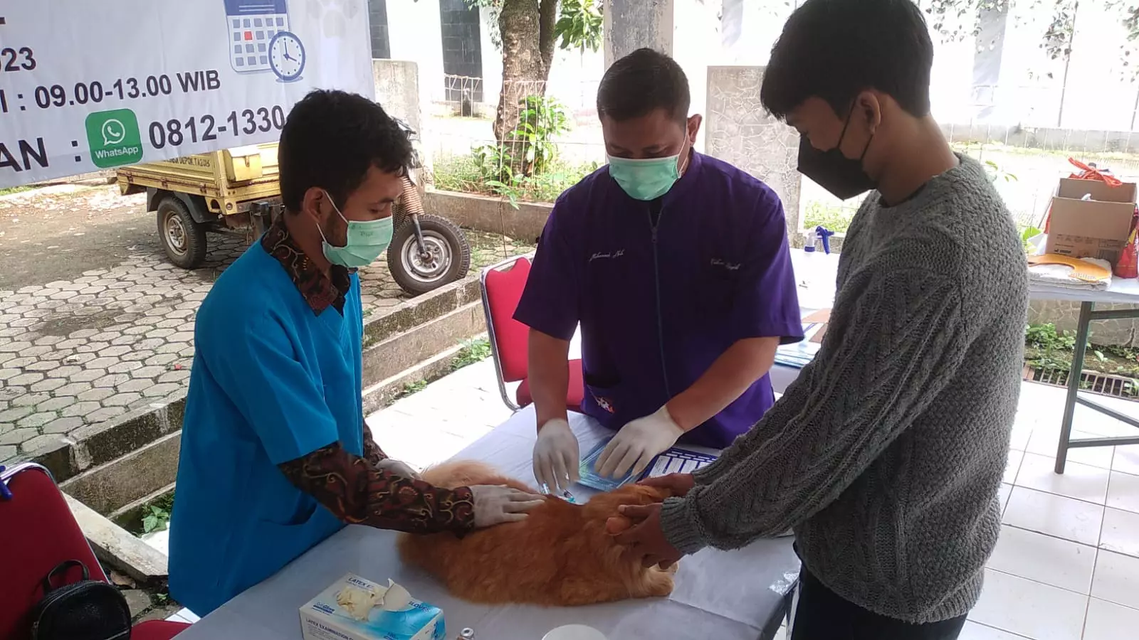 Selama Dua Hari, DKP3 Berhasil Vaksinasi 346 Hewan Peliharaan