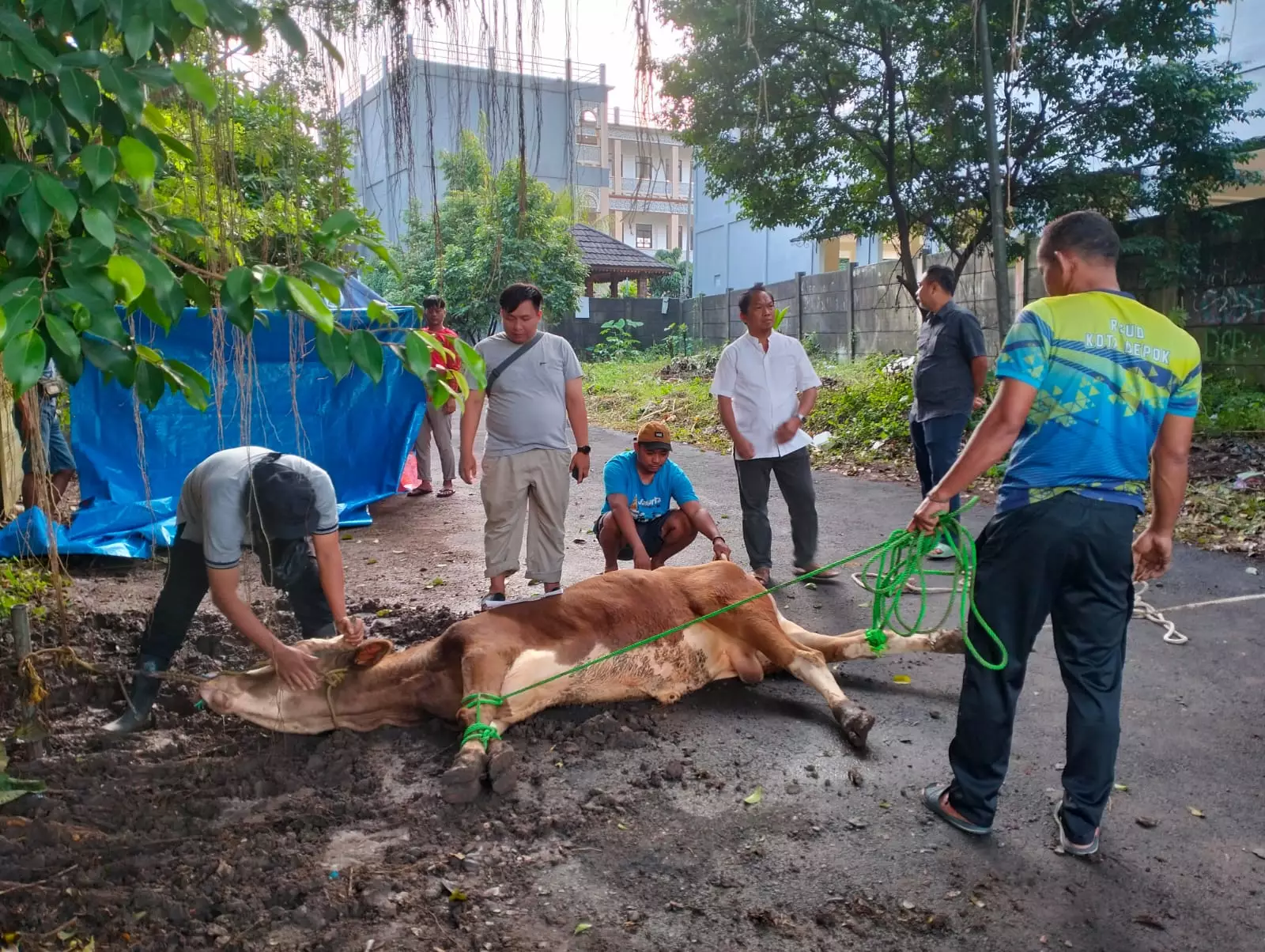 Iduladha 2023, Civitas RSUD KiSA Sembelih Empat Sapi dan Empat Kambing