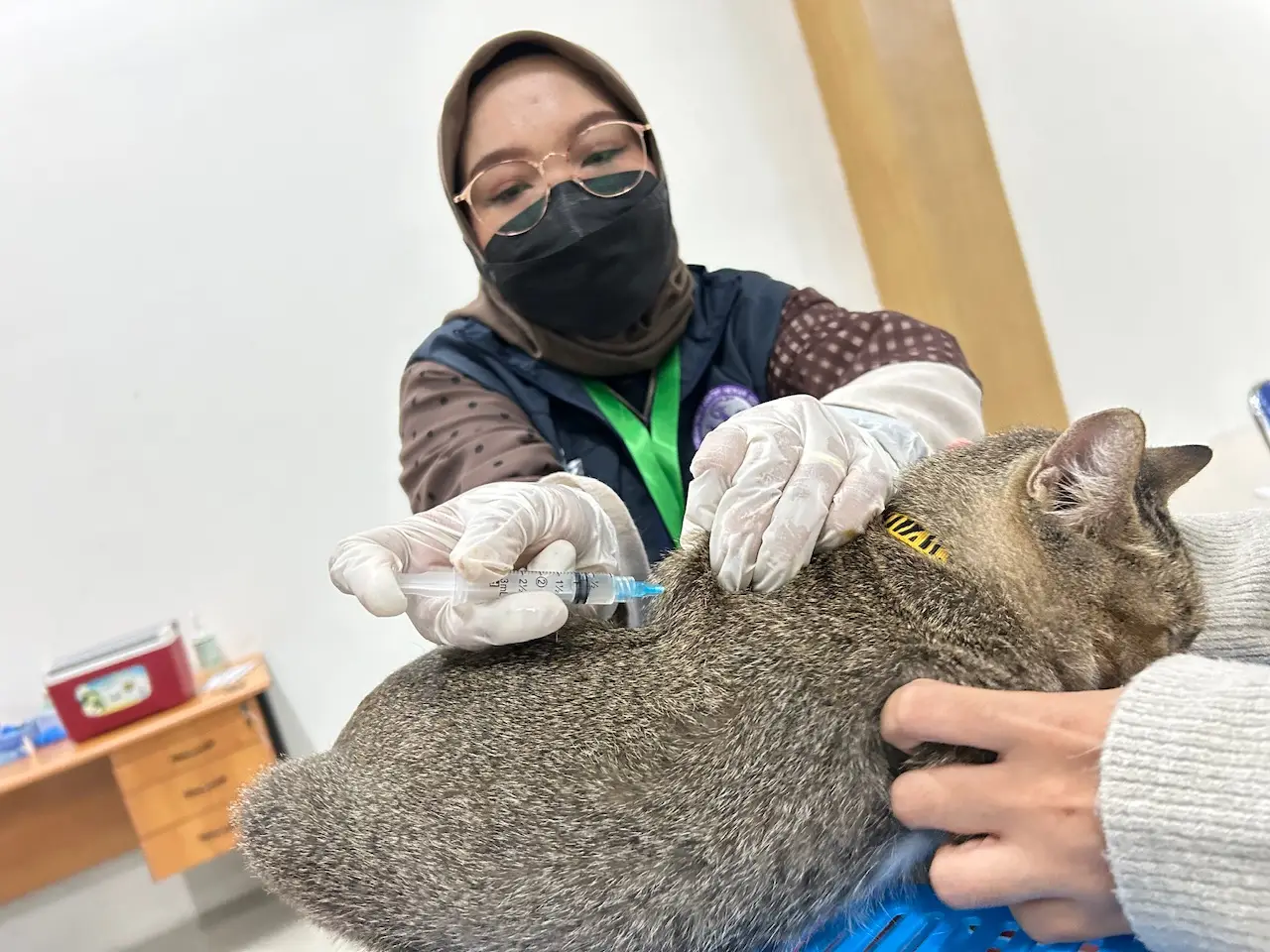 Kolaborasi dengan PDHI Jabar VII, DKP3 Depok Gelar Vaksinasi Rabies Gratis