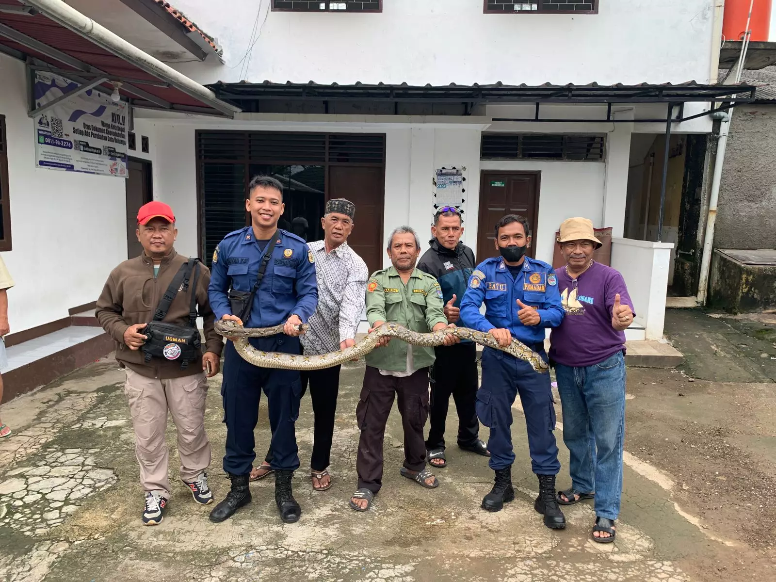 Petugas Damkar Amankan Ular Sanca 3 Meter di Cilodong
