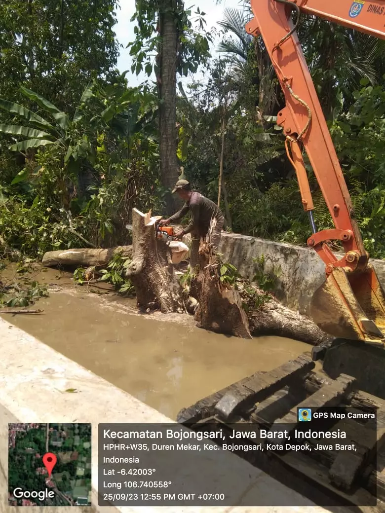 Satgas DPUPR Berjibaku Evakuasi Pohon di Anak Kali Angke 5