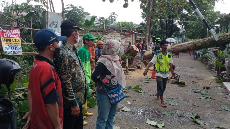 Camat Panmas Apresiasi Respons Cepat DLHK-Damkar Tangani Pohon Tumbang