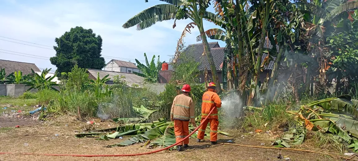 Dampak El Nino, Damkar Depok Ingatkan Warga Waspada Kebakaran Lahan