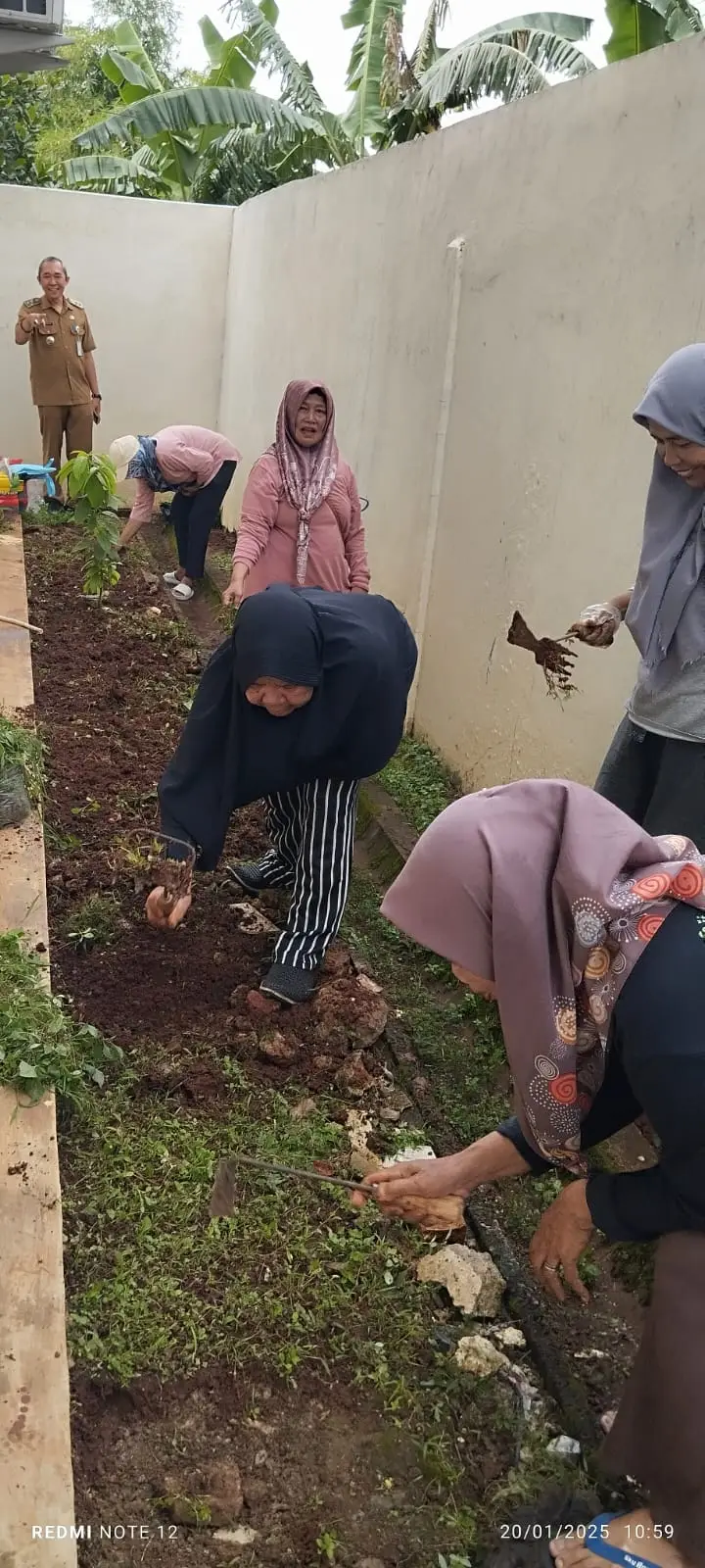 Kader PKK Mampang Tanam Toga dan Pohon Buah di Belakang Kantor Kelurahan