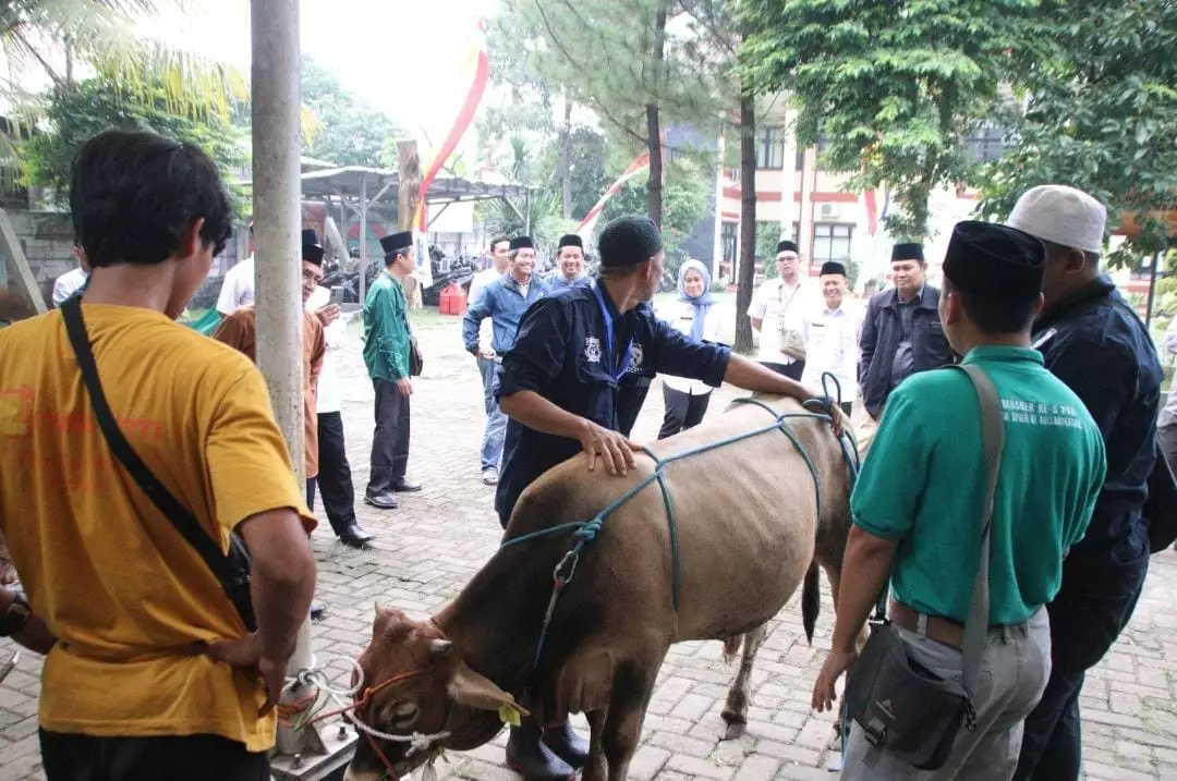 Puluhan DKM se-Cipayung Diberi Pelatihan Cara Menyembelih secara Syar'i