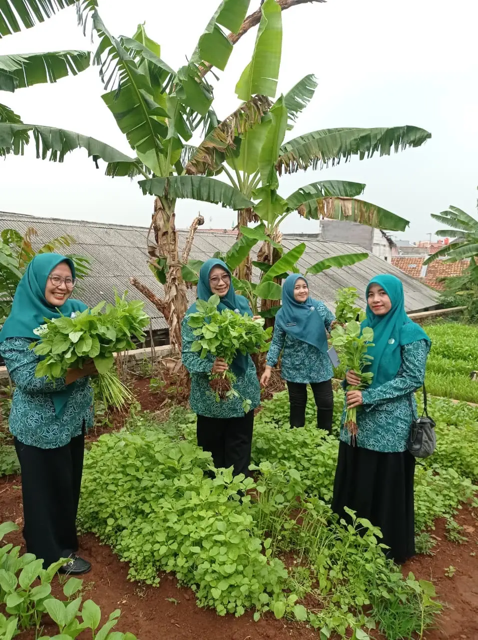 Sinergi Program Urban Farming dan Sedekah Mijel di Mekarsari, Ciptakan Perbaikan Gizi Balita