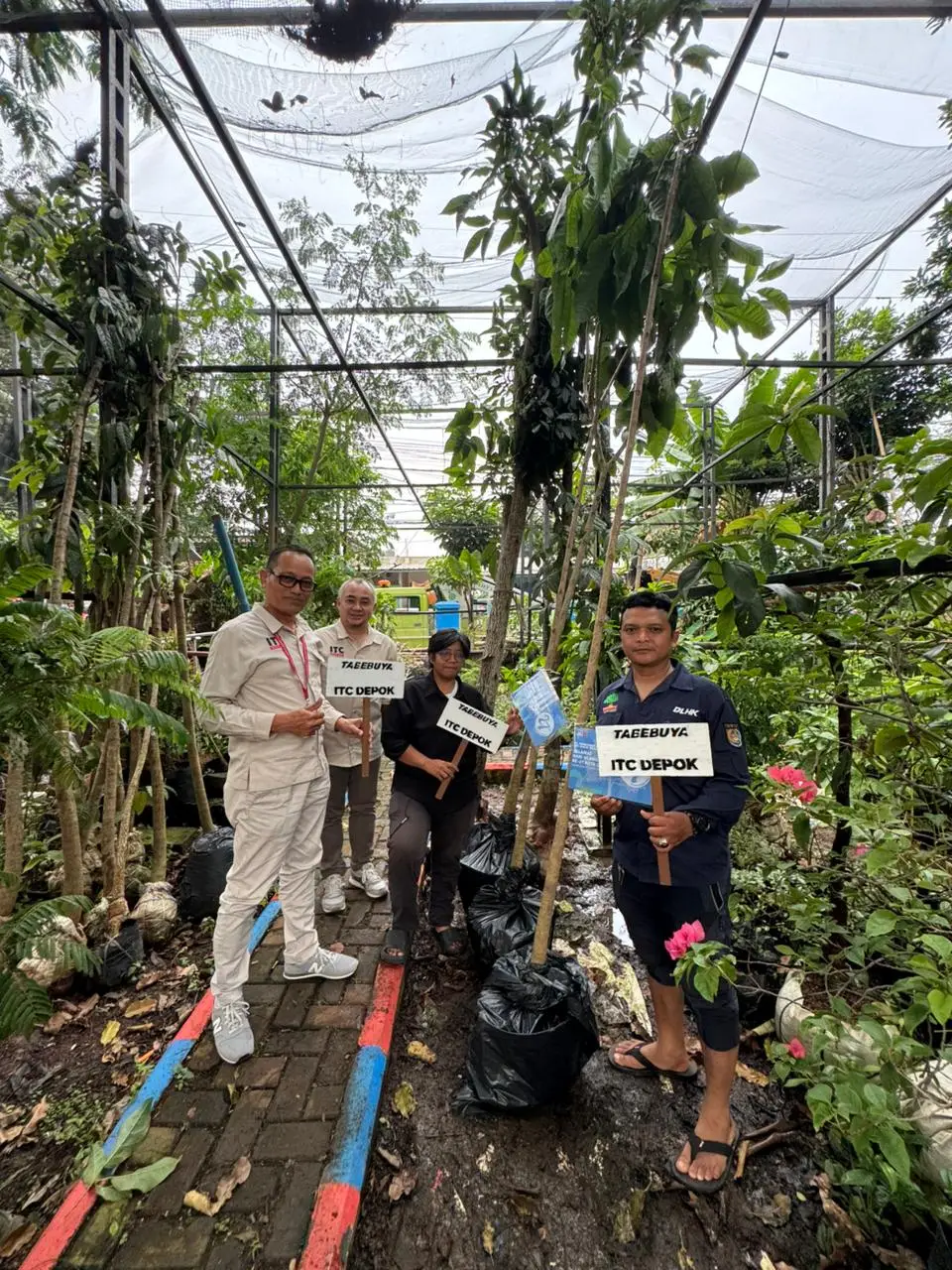 Dukung HUT ke-27 Kota Depok, ITC Sumbang 3 Pohon Tabebuya