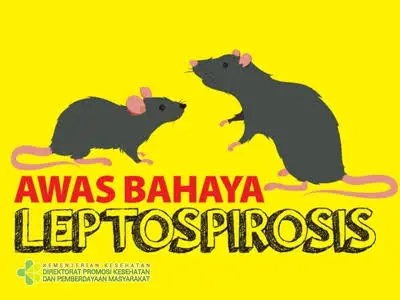 Musim Hujan Tiba, Warga Depok Wajib Waspada Penyakit Leptospirosis