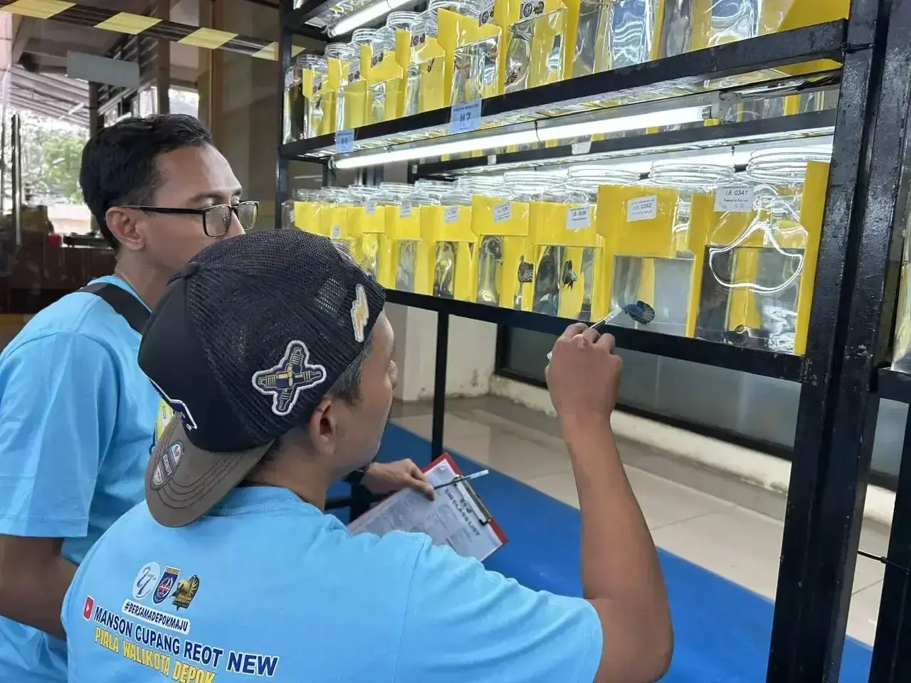 Kontes Cupang DKP3 Depok Diikuti 1.310 Ekor, Pengumuman Pemenang Minggu Siang