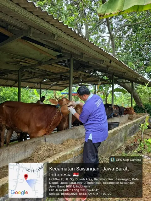 DKP3 Depok Tegaskan Peran Setiap Pihak dalam Penyelenggaraan Hewan Kurban 2026