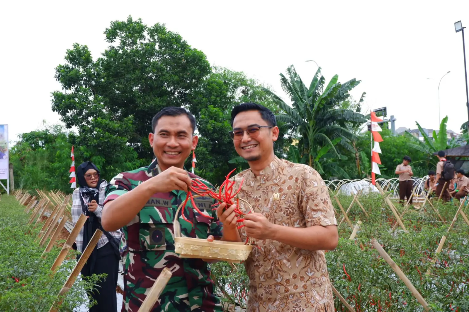Panen Cabai Perdana, Kodim Depok Dukung Upaya Memperkuat Ketahanan Pangan