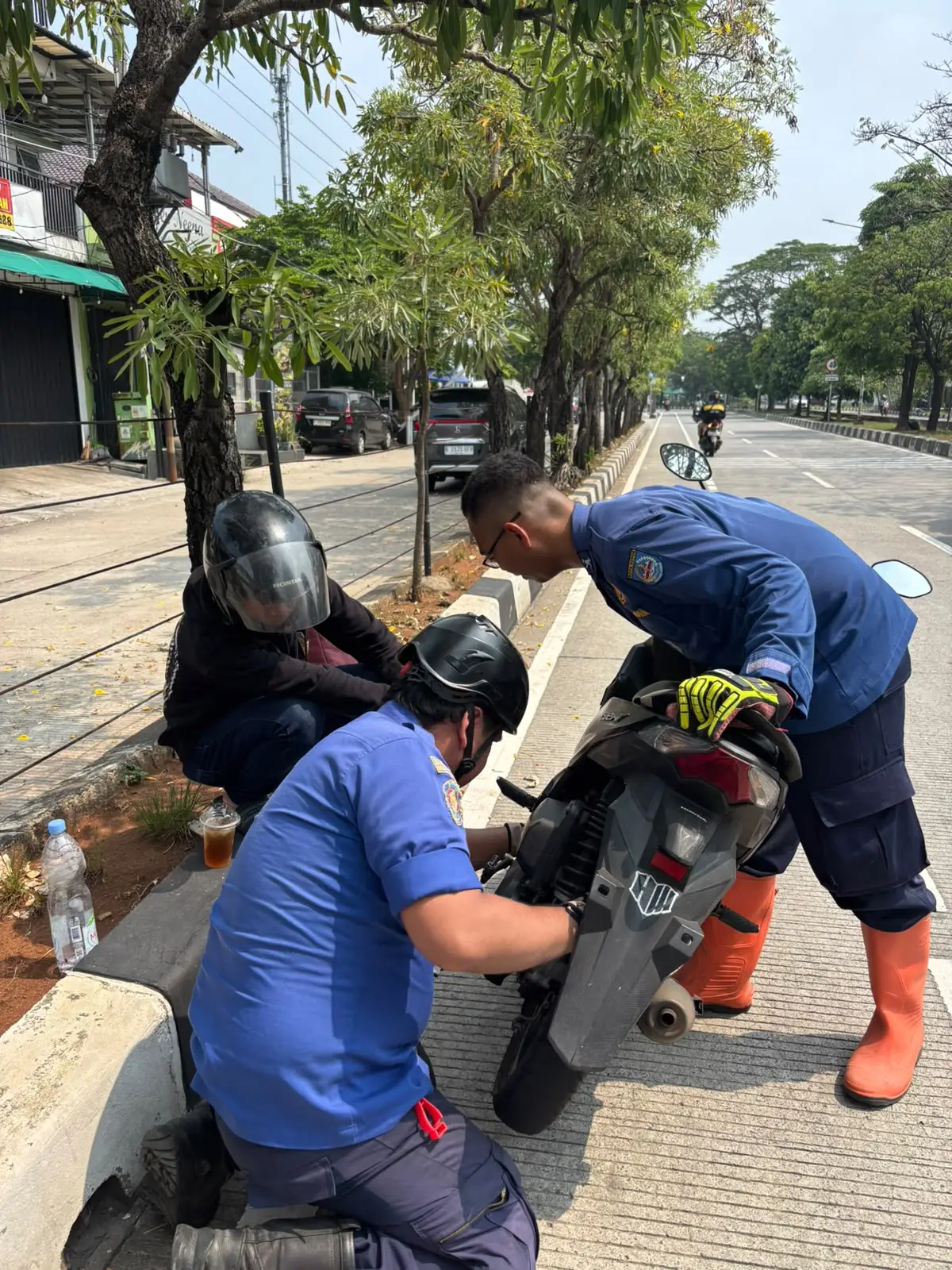 Damkar Depok Evakuasi Kucing Terjebak di Motor hingga Dua Biawak dalam Sehari