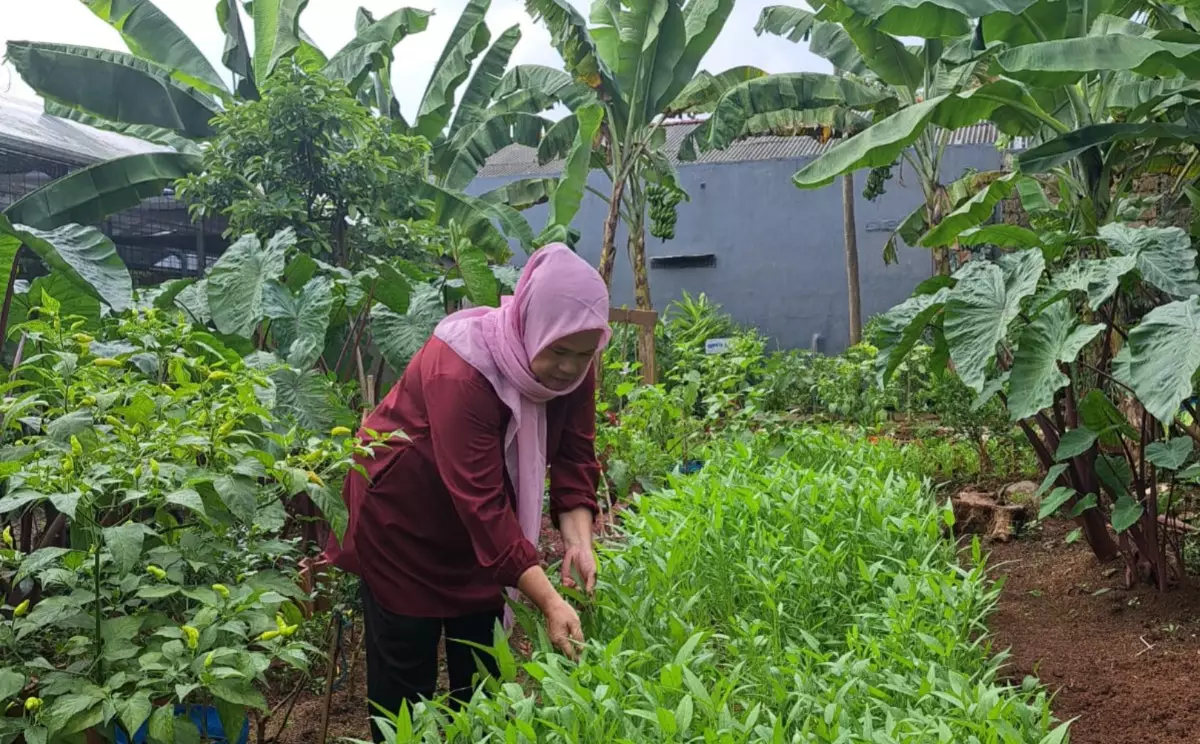Miliki Puluhan Varietas Sayur Mayur, KWT Anggrek Komitmen Cegah Stunting
